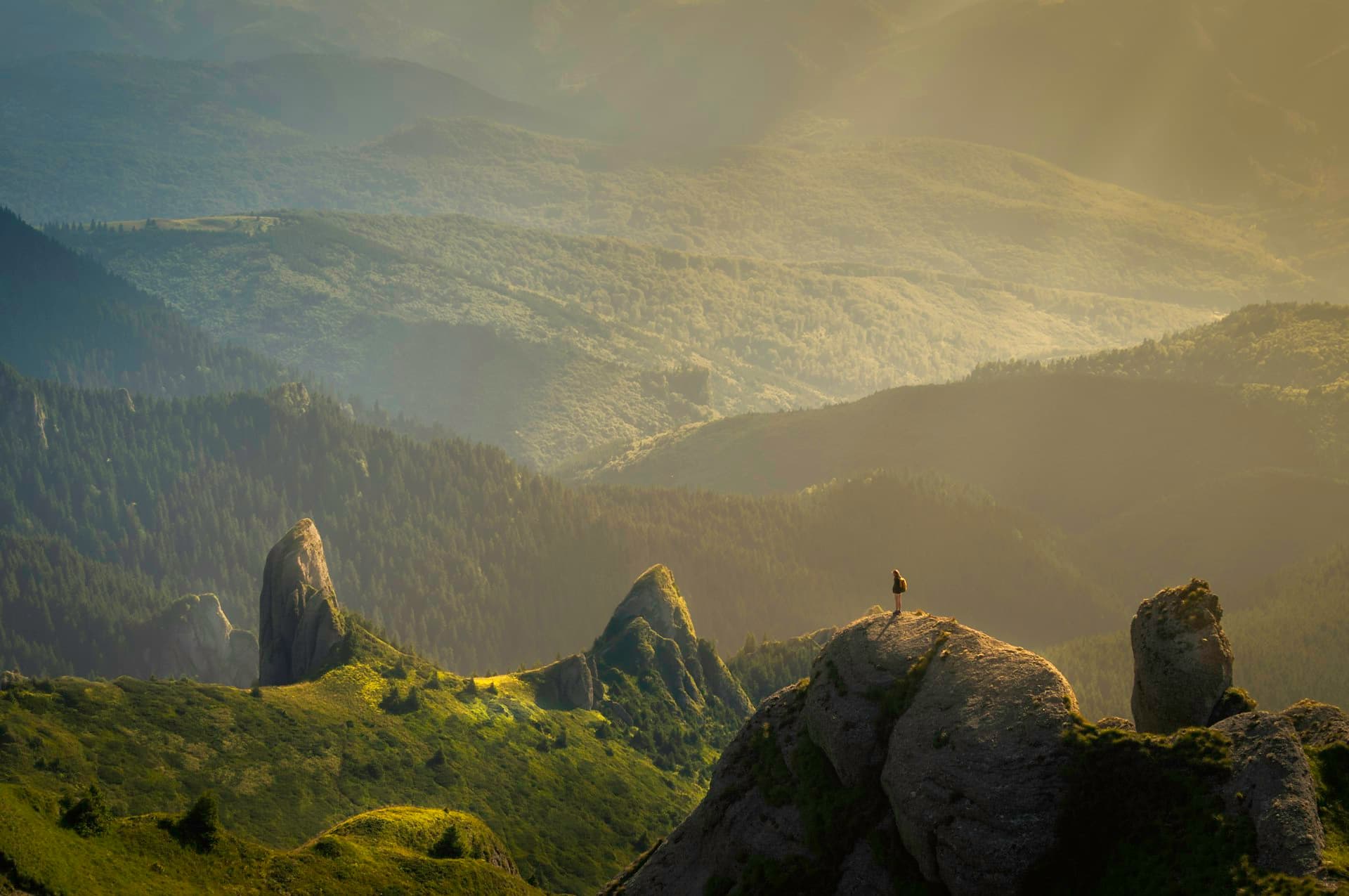 Vastidão verde de montanhas ao amanhecer